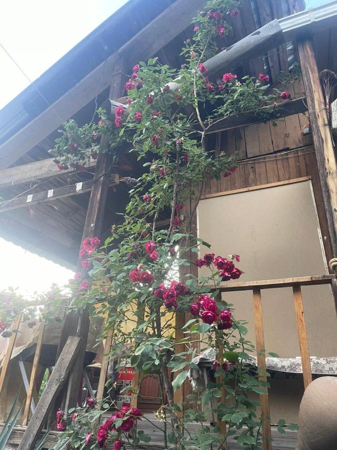 Grig Villa Erivan Dış mekan fotoğraf